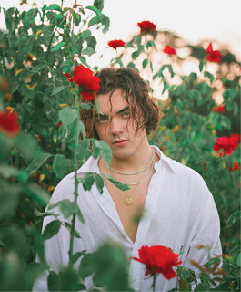 Alex Stewart Photo
