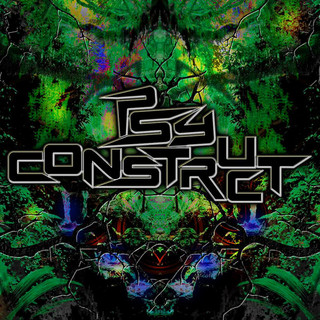 PsyConstruct