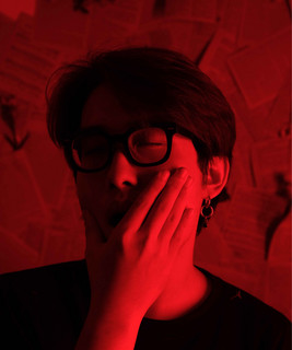 Vxllish poster