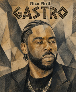 Mizo Phyll poster