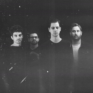 crows