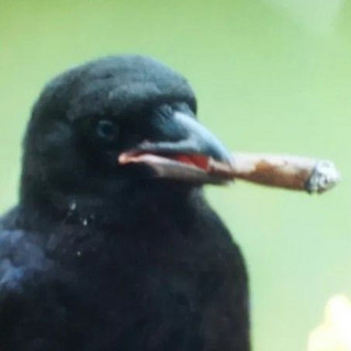 Crow