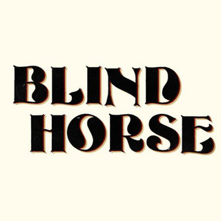 Blind Horse Photo