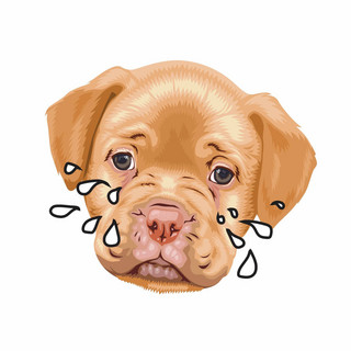 Guakara de Perro