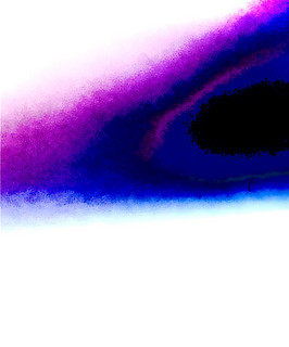 FL FERT