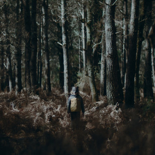 Yarotz Photo
