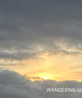 Wandering Soul