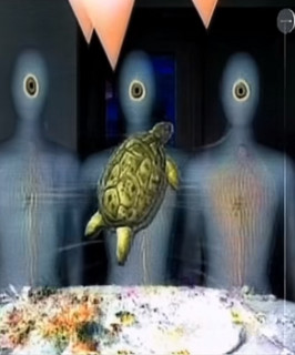 ARTHROPOD$