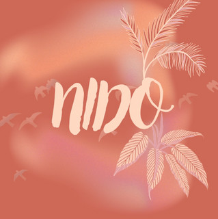 Nido