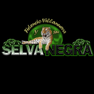 Fidencio Villanueva y su Selva Negra poster