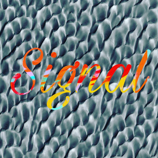 Signal