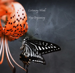 Listening Wind Photo