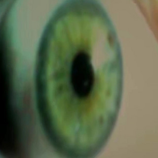 K1ddPepe