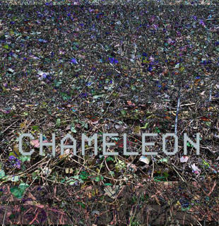 Chameleon