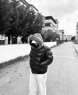 Asvole