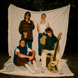 The Birds are Spies poster