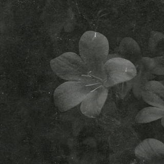 Boil The Ocean poster