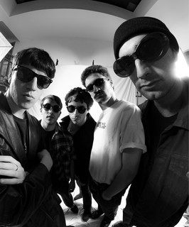 Los Walrus