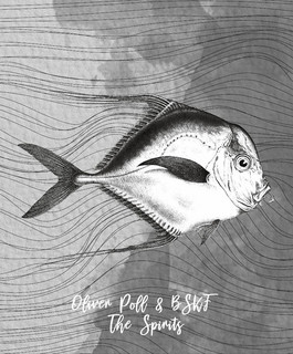 BSKF cover