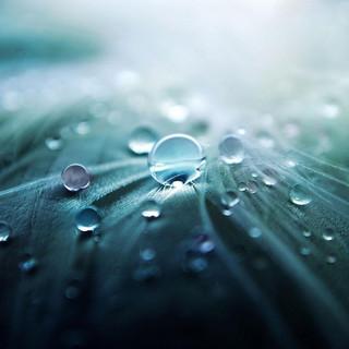 Peaceful Rain