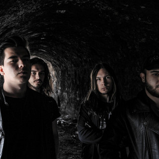 Evolution Embodiment