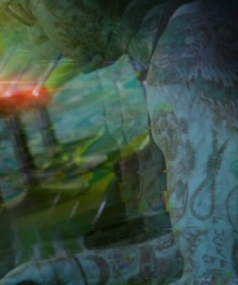 Alec Cicada