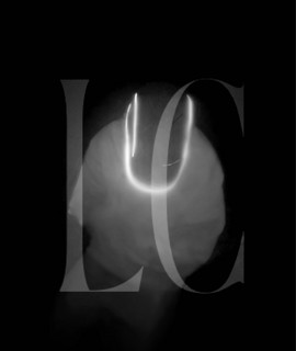 LC Luca