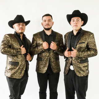 Los Vagos De Santa Ana