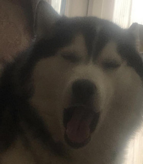 Ivan