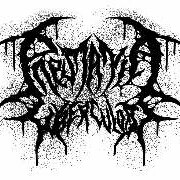Pneumania Photo