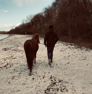 Me and the Horse I Rode in On