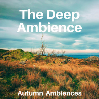The Deep Ambience