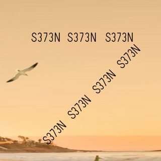 S37 Photo