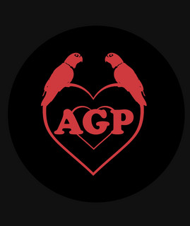 Agapornis poster
