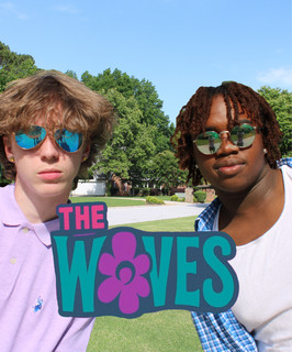 The Waves