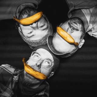 BNNBRDS