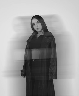 Inmita Palmera