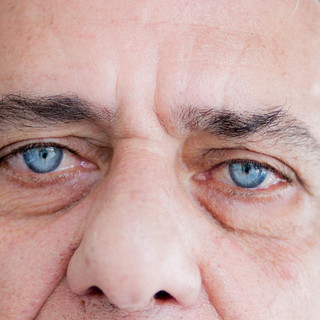 chico buarque