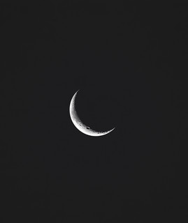 moonkind