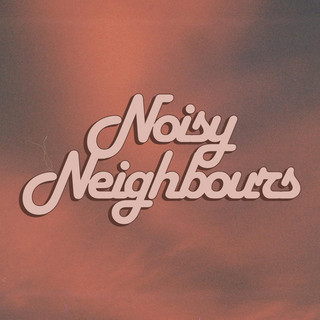 Noisy Neighbours