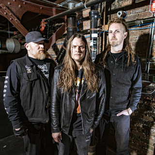 jungle rot