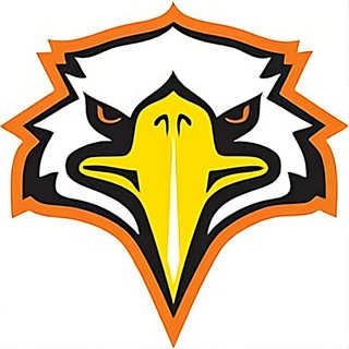 The spirit of the eagle