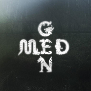 Med Gen