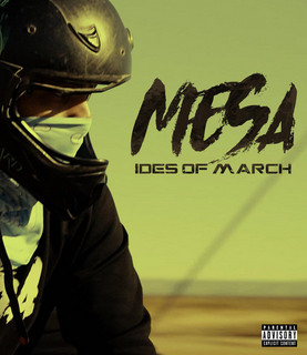 Mesa cover