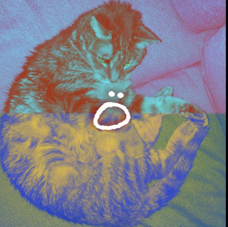 Ö