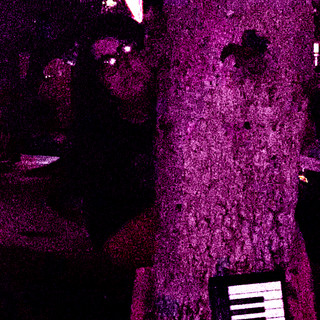 beeswithchainsaws