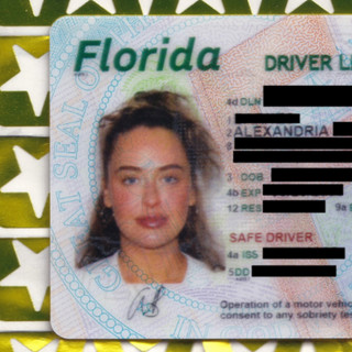 alex from florida