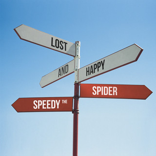 Speedy The Spider
