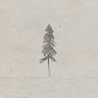 Pine