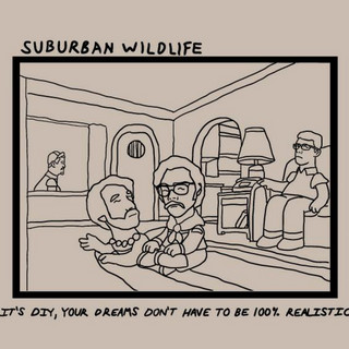 Suburban Wildlife